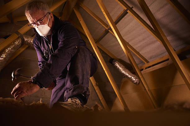 Best Eco-Friendly Insulation in Drum Point, MD