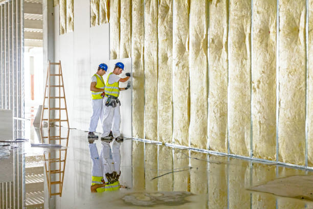 Professional Insulation Contractor in Drum Point, MD